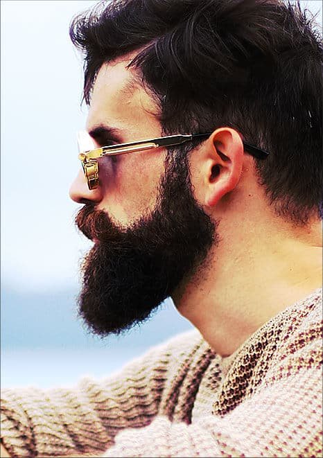 Beard Photo 02 Free Img